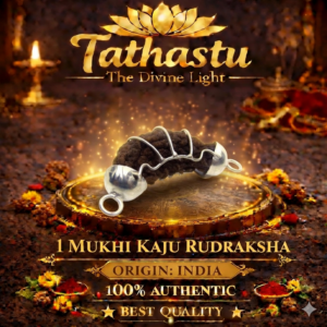 1 Mukhi kaju (indian) Rudraksha with silver tie (Ek Mukhi kaju Rudraksha)