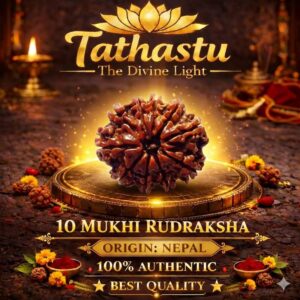 10 Mukhi Rudraksha (Das Mukhi Rudraksha)