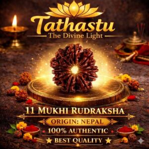 11 Mukhi Rudraksha (Gyarah Mukhi Rudraksha)