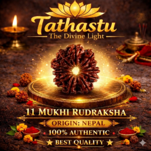 11 Mukhi Rudraksha (Gyarah Mukhi Rudraksha)