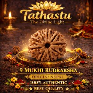 9 Mukhi Rudraksha (Nau Mukhi Rudraksha)