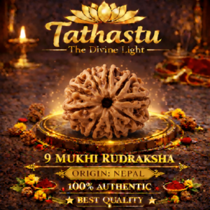 9 Mukhi Rudraksha (Nau Mukhi Rudraksha)