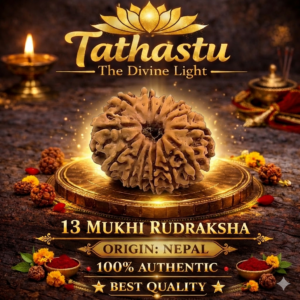 13 Mukhi Rudraksha