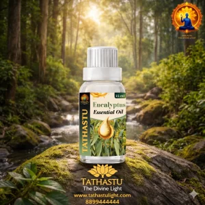 Eucalyptus Essential Oil (Throat)
