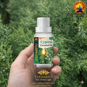 Cypress Essential Oil (Earth Star)