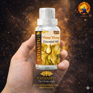 Ylang Ylang Essential Oil