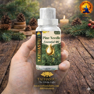 Pine Needle Essential Oil (Root)