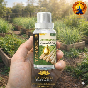 Lemongrass Essential Oil (Solar)