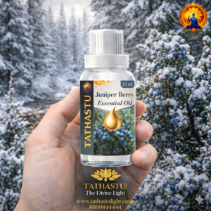 Juniper Berry Essential Oil (Solar Plexus)
