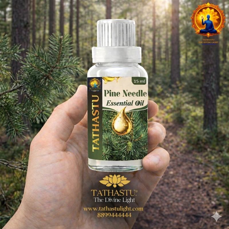 Pine Needle Essential Oil (Root) - Image 2