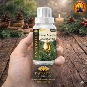 Pine Needle Essential Oil (Root)