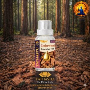 Cedarwood Essential Oil (Earth Star & Root Chakra)