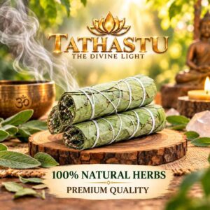 Eucalyptus Sage