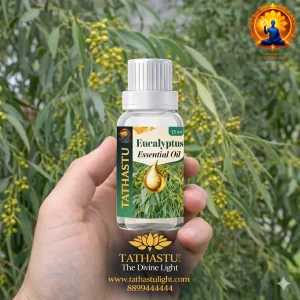 Eucalyptus Essential Oil (Throat)